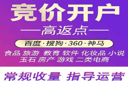 竞价推广代运营成功案例分析